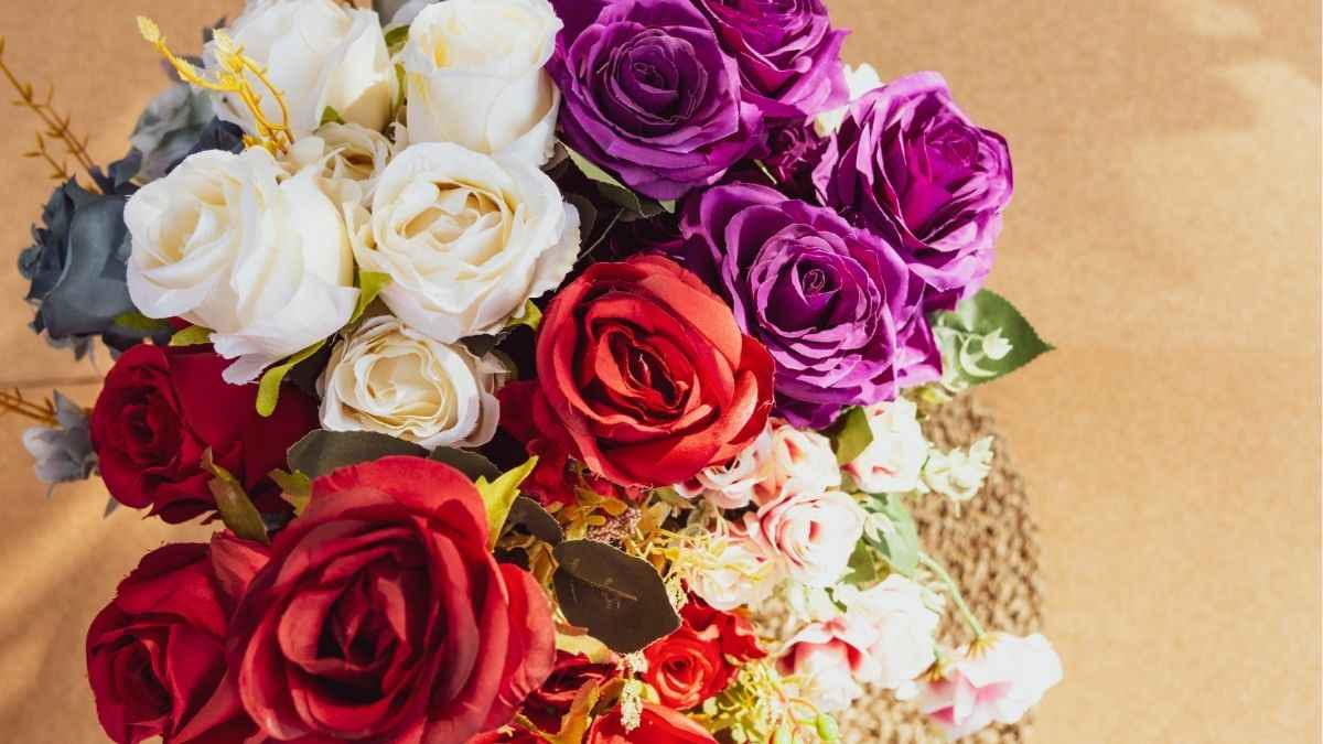 Hoa hồng đẹp tượng trưng cho tình yêu và sự lãng mạn