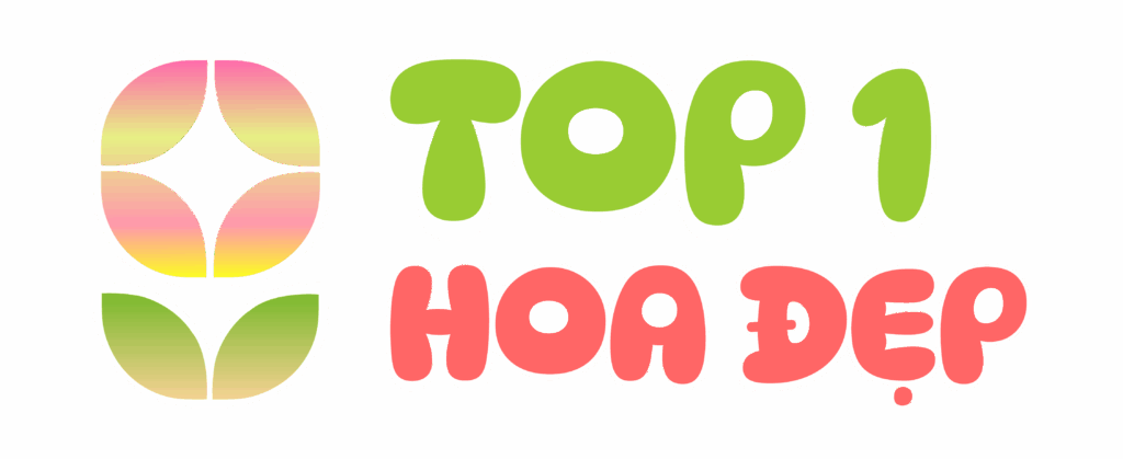 Top 1 Hoa Đẹp