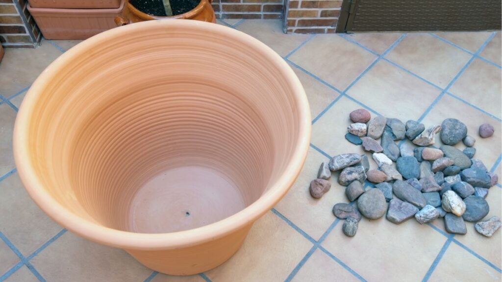 Cách trồng hoa ly bằng củ tại nhà cho cây khỏe, hoa đẹp 4 Chậu trồng hoa ly có lỗ thoát nước và đủ chiều sâu