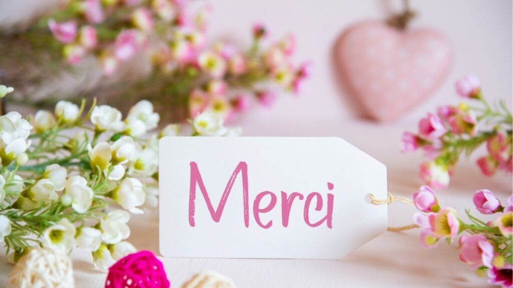 Chọn loại hoa phù hợp theo tình yêu cảm ơn sinh nhật và chúc mừng