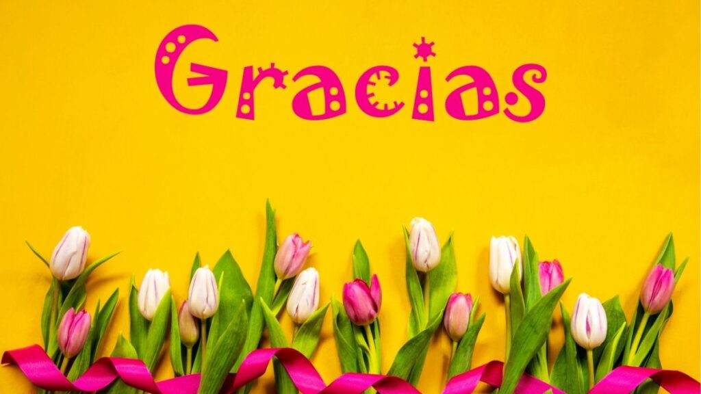 Hoa tulip: Đặc điểm, các loại, màu sắc và ý nghĩa 1 Hoa tulip đặc điểm các loại và ý nghĩa