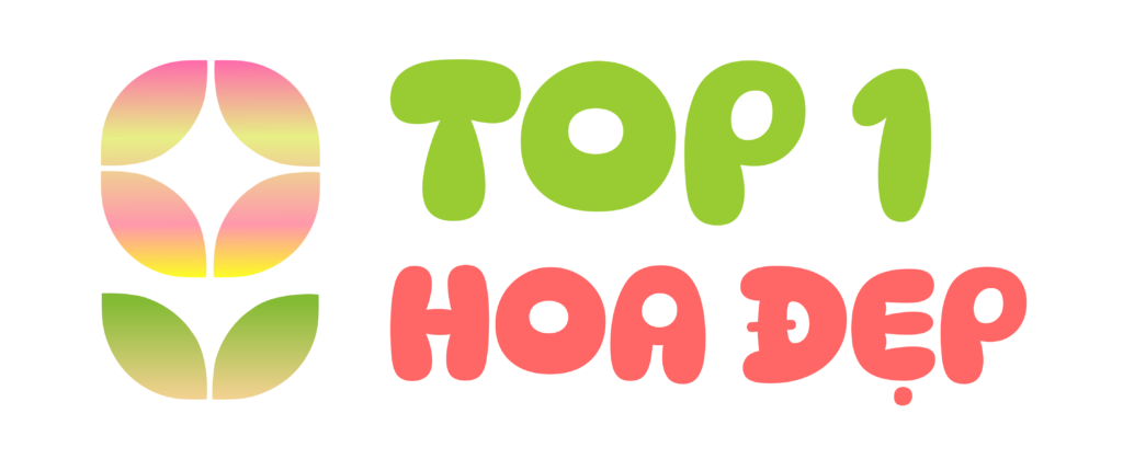 top1hoadep.com
