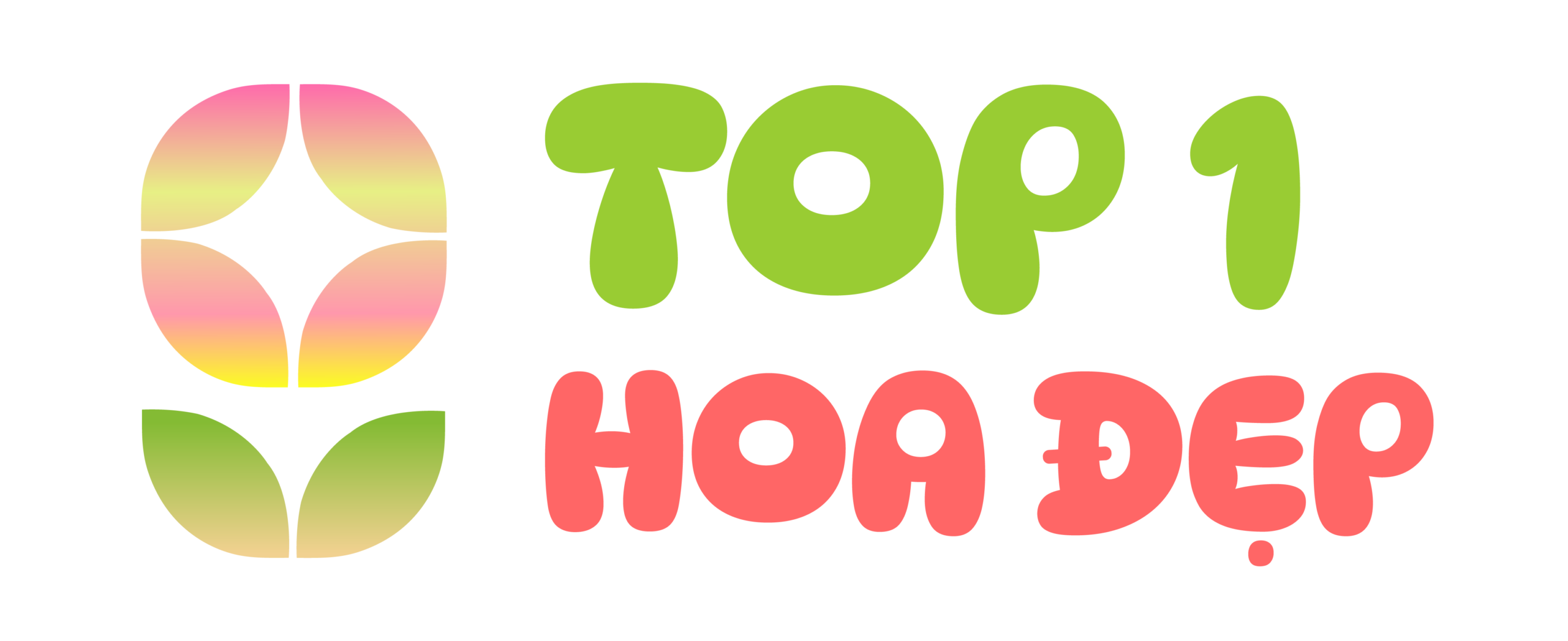 Top 1 Hoa Đẹp