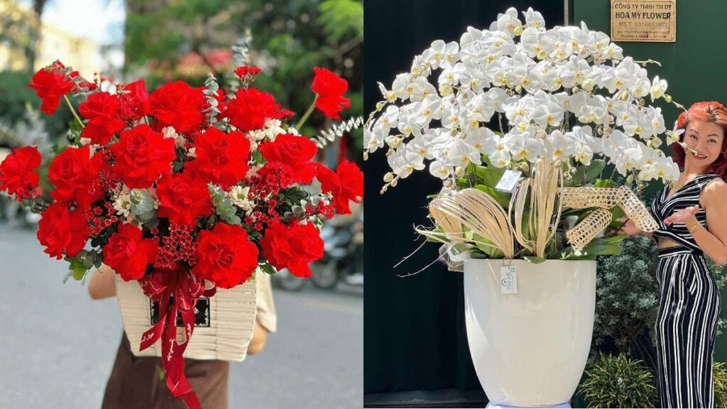 Màu hoa khai trương vàng cam đỏ trắng và tím