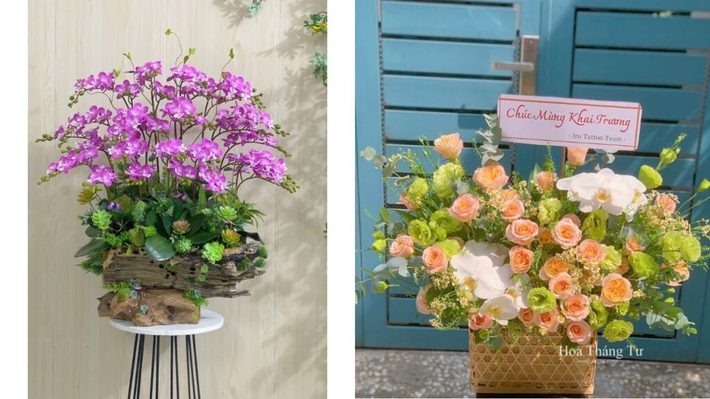 So sánh kệ hoa chậu lan và giỏ hoa khai trương