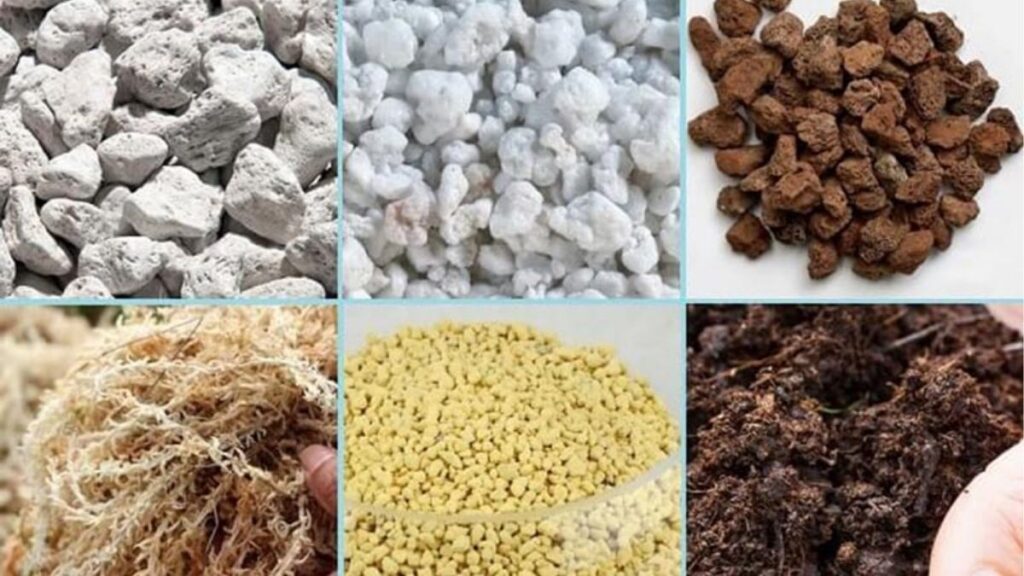 Trồng hoa đúng cách tại nhà cho người mới bắt đầu 5 Đất xơ dừa trấu hun và perlite dùng trồng hoa