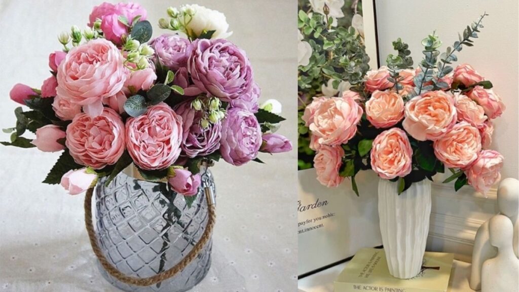 So sánh nụ mẫu đơn còn xanh cứng, nụ lên màu mềm nhẹ và bông mẫu đơn đã nở.