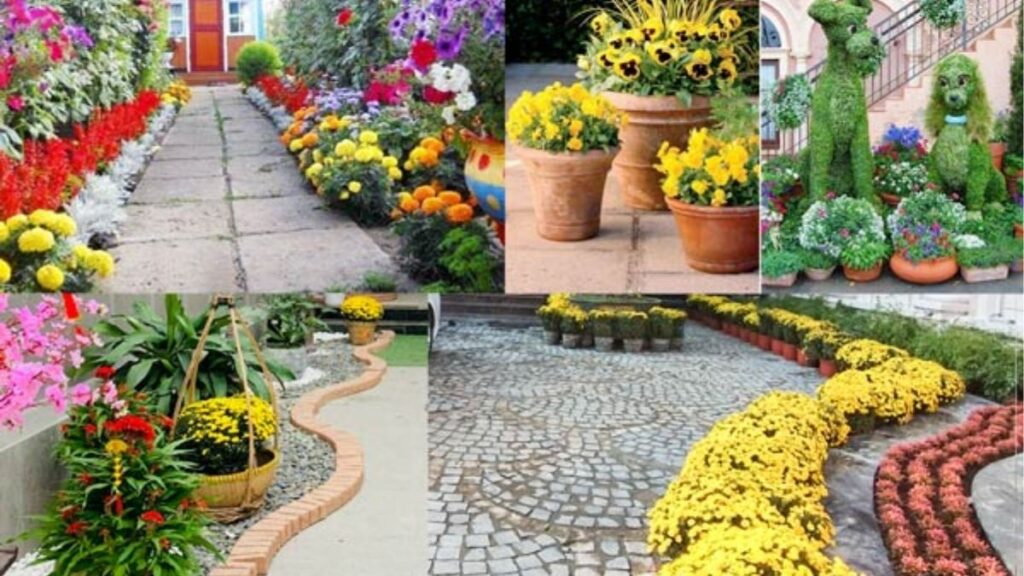 Các loại hoa cảnh gồm thủy tiên, cúc, lay ơn, lan hồ điệp và đồng tiền.