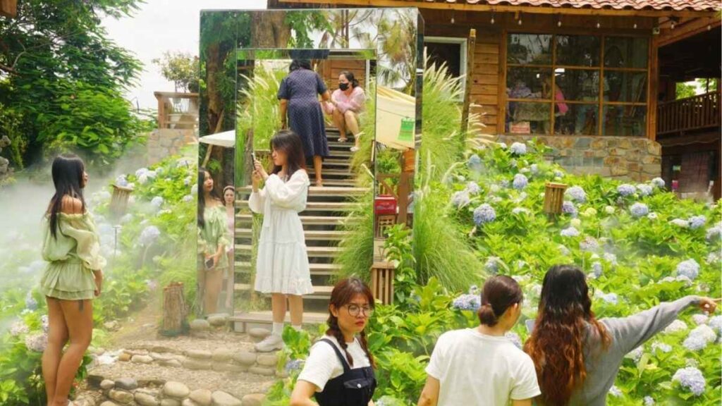 Chậu cẩm tú cầu đặt tại khu vực sáng, có mái che bớt nắng chiều và chậu thoát nước.